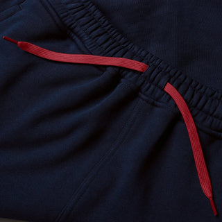 Canterbury British & Irish Lions 2025 Mens Fleece Rugby Shorts