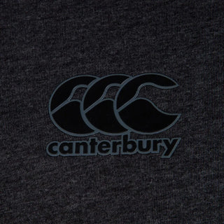 Rugby Heaven British & Irish Lions Mens Cotton Rugby Shirt T-Shirt - www.rugby-heaven.co.uk