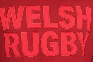 Under Armour Wales Kids Hoodie