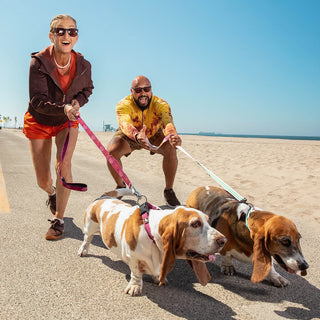 Goodr Bosleys Basset Hound Dreams OG Sunglasses