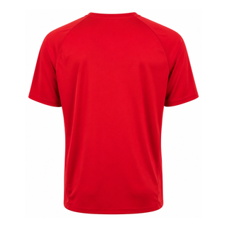 Castore Ulster Rugby 2024/25 Mens Warm Up T-Shirt