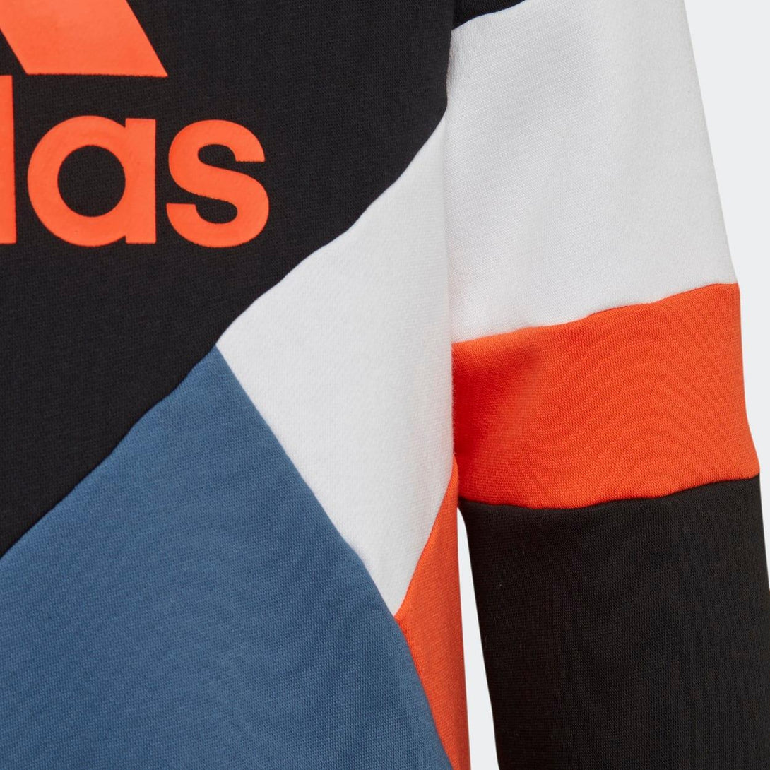 Adidas Kids Colorblock Fleece Hoodie