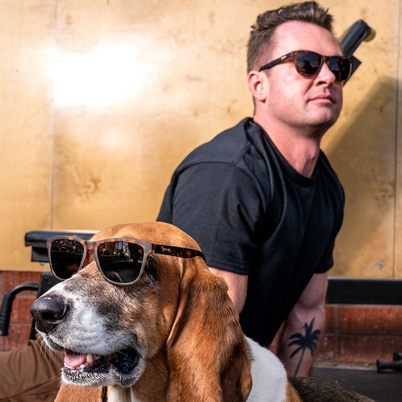 Goodr Bosleys Basset Hound Dreams OG Sunglasses