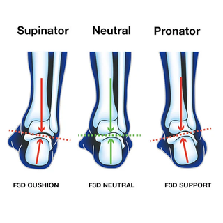 Ultimate Performance Advanced Insole with F3D