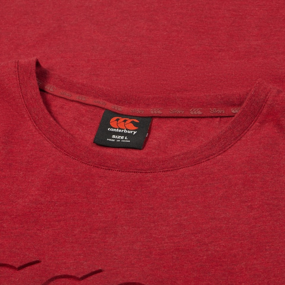 Canterbury British & Irish Lions 2025 Mens Monument Rugby Tee