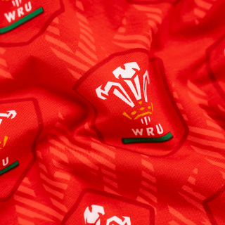 Oddballs Welsh Rugby Union Mens Cotton Boxer Shorts