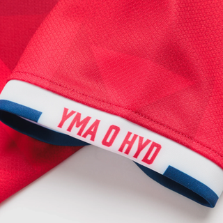VX3 Scarlets 2026/27 Mens Home Rugby Shirt