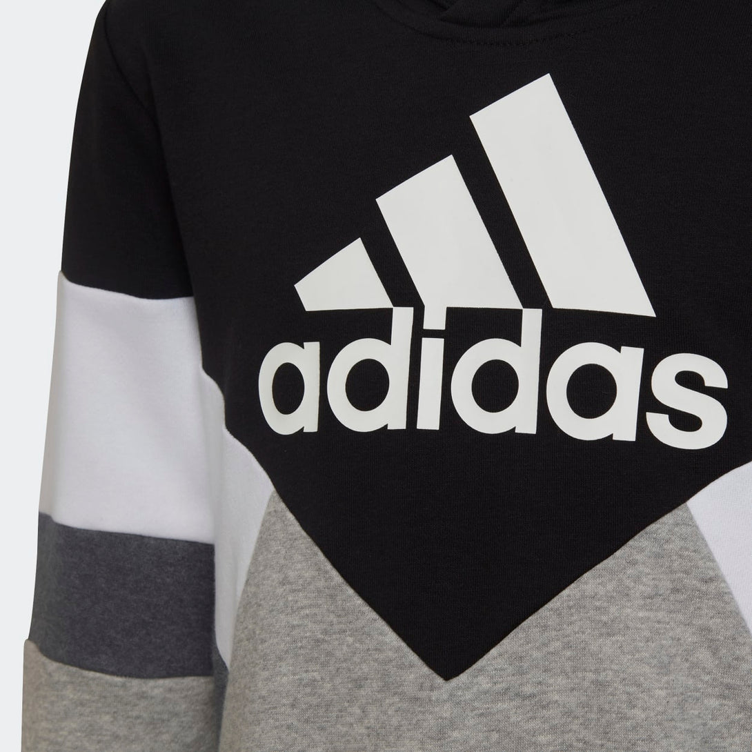 Adidas Kids Colorblock Fleece Hoodie